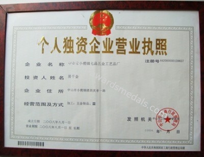 China pins centre company ltd Certificaciones